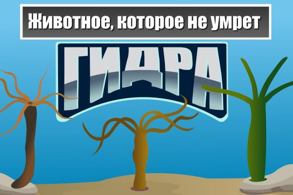 Кракен даркнет