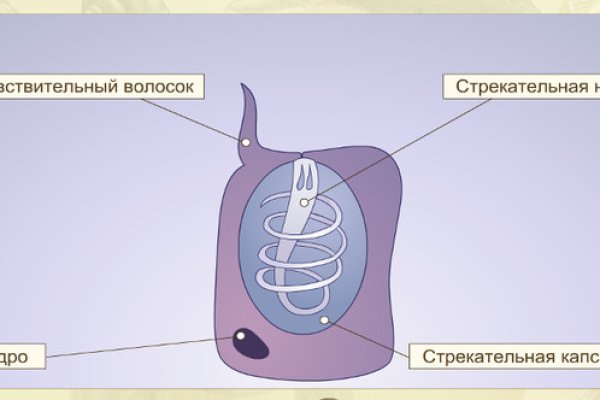 Кракен магазин наркотиков