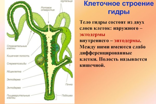 Как найти кракен в торе