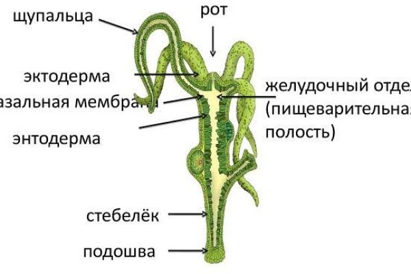 Кракен вход официальная ссылка