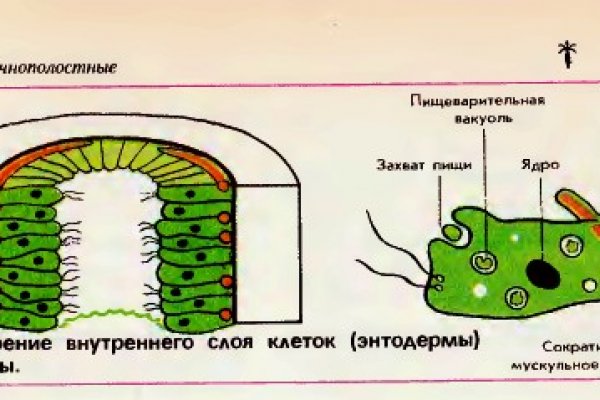 Kraken рабочая ссылка 2025