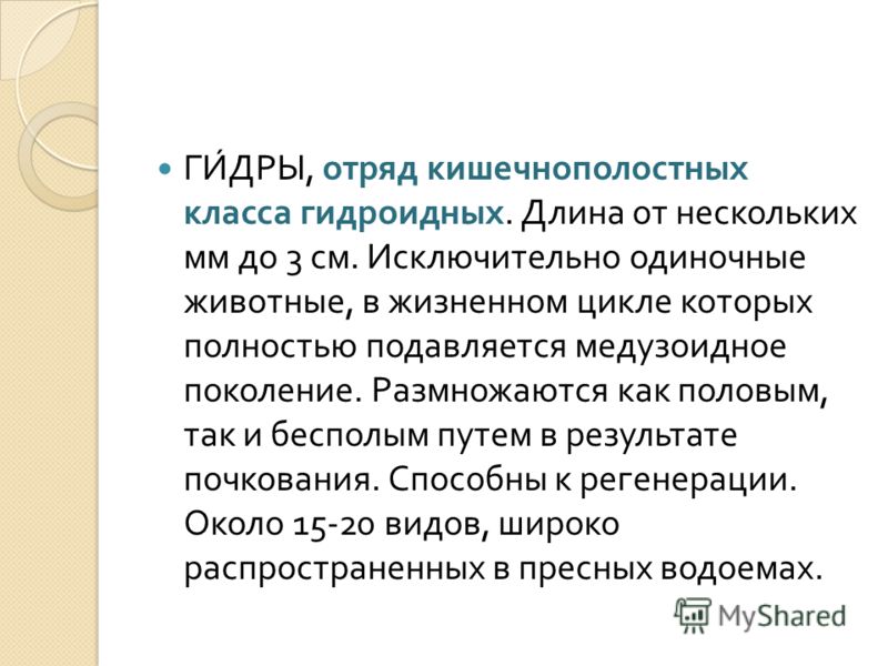 Аналог гидры